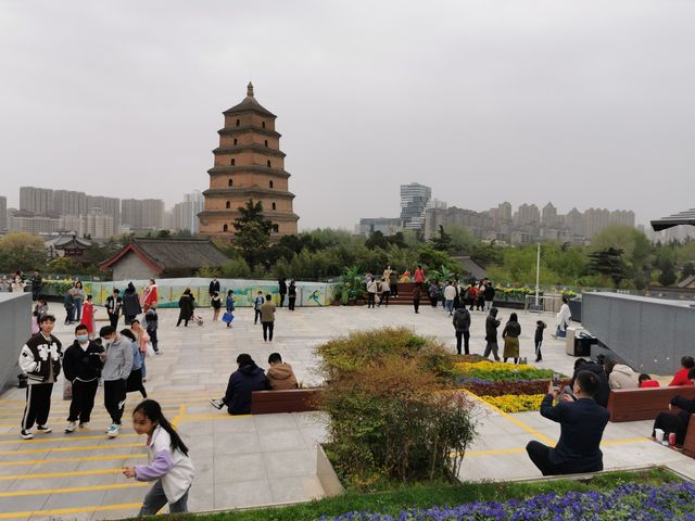 Does anyone still not know the best spot to capture the Big Wild Goose Pagoda in Xi'an?