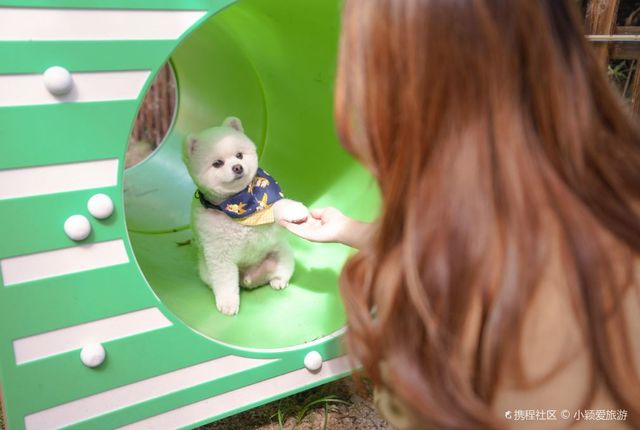 Hong Kong | Pet-friendly outdoor activity area "Beauty Hill"