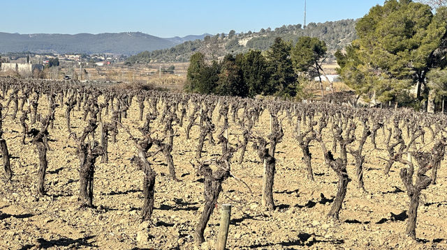 Vilafranca de PenedèsV