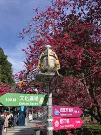 Sun Moon Lake + Formosan Aboriginal Culture Village + cable car + cherry blossoms