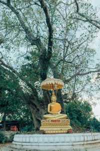 Luang Prabang's Lesser-known Temples | 500 Years of History | Great for Photography