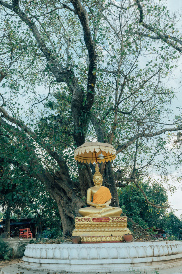 Luang Prabang's Lesser-known Temples | 500 Years of History | Great for Photography