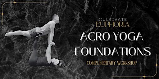 Free Acro Yoga Foundations | 260 Edgeley Blvd #25