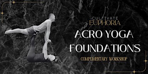 Free Acro Yoga Foundations | 260 Edgeley Blvd #25