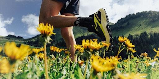 ⚡ Gap - Test Salomon Genesis x Au Vieux Campeur Trail du Ventoux | 93 Av. d'Embrun