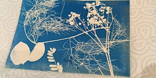 Cynaotype Botanical Printing Workshop | Victoria Park