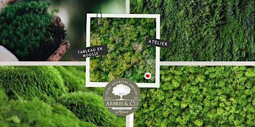 Atelier Tableau mousse | Arbres & Co, Rue René Cassin, Bourg-en-Bresse, France