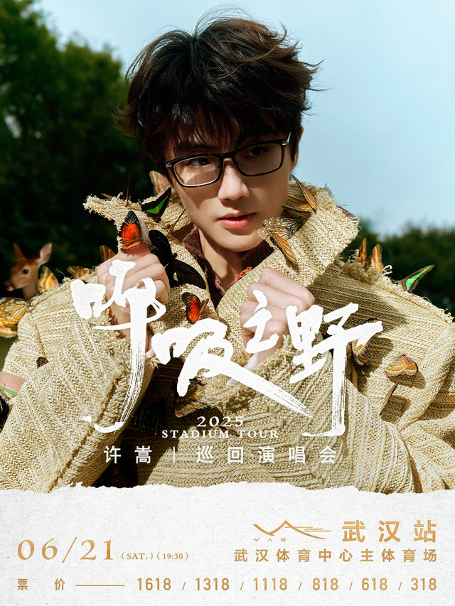 許嵩2025「呼吸之野」巡迴演唱會 武漢站｜演唱會 | 武漢體育中心主體育場