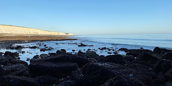 Coastal Foraging Workshop - Brighton - Sea Vegetables and Sea Weed. | Brighton Marina