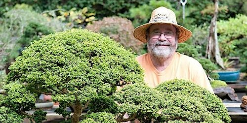 Introduction to Bonsai with Rodney Clemmons | Callanwolde Fine Arts Center