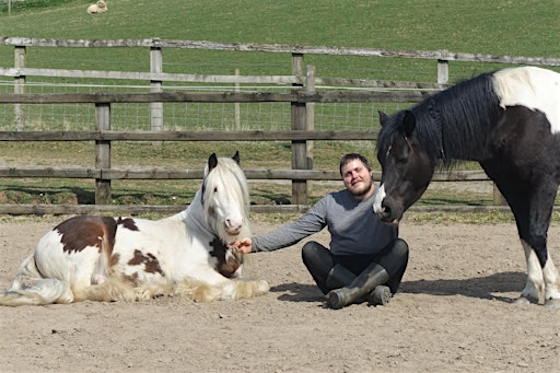 HORSE HARMONY 1 (August) | SY21 0QH