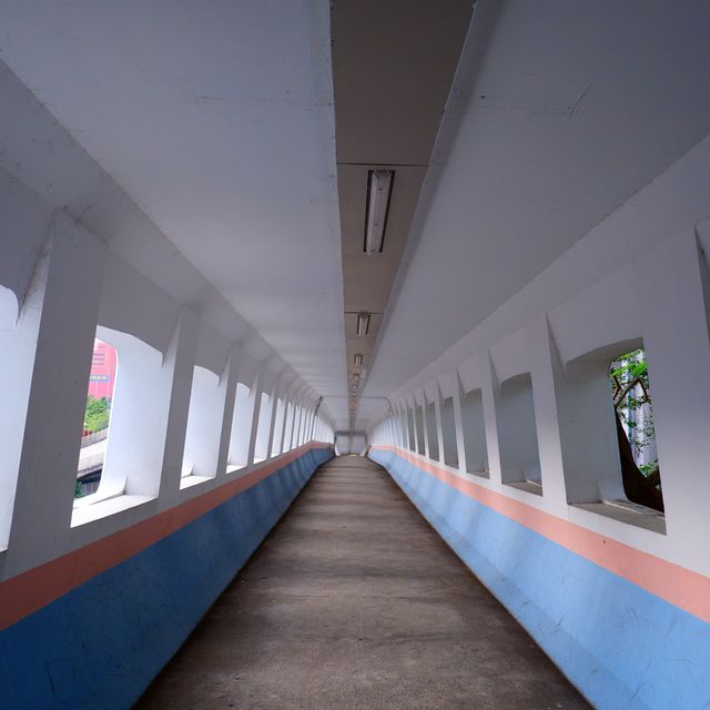 觀塘半日遊