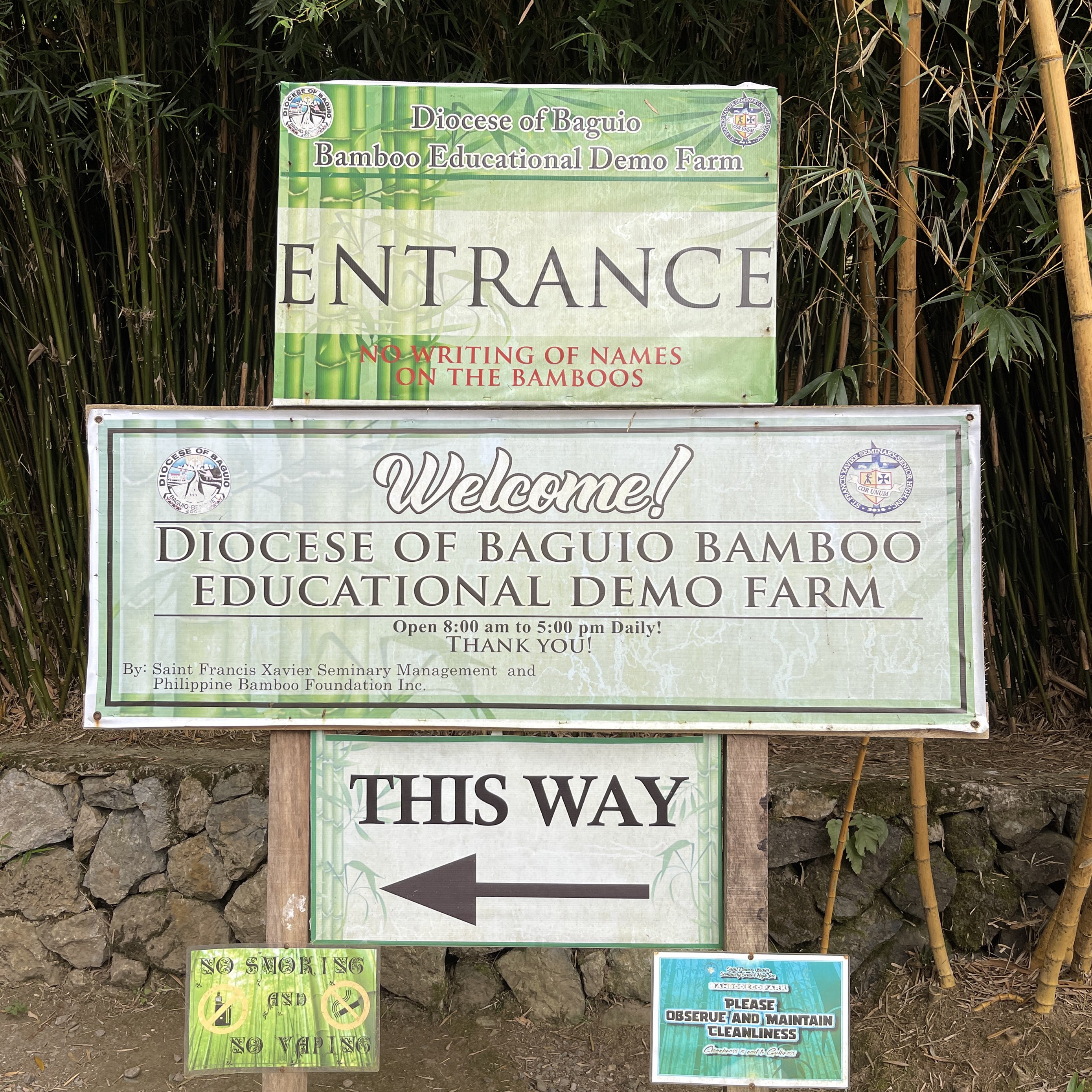 2. Contemporary Ceramic Sanctuary For Graceful Bamboo