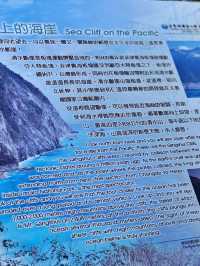 花蓮清水斷崖🏔，體驗大自然鬼斧神工的驚奇