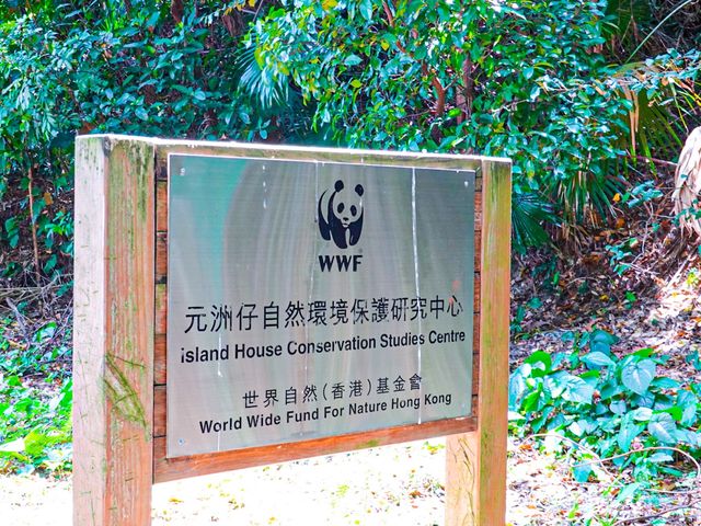 為保護動物出一分力