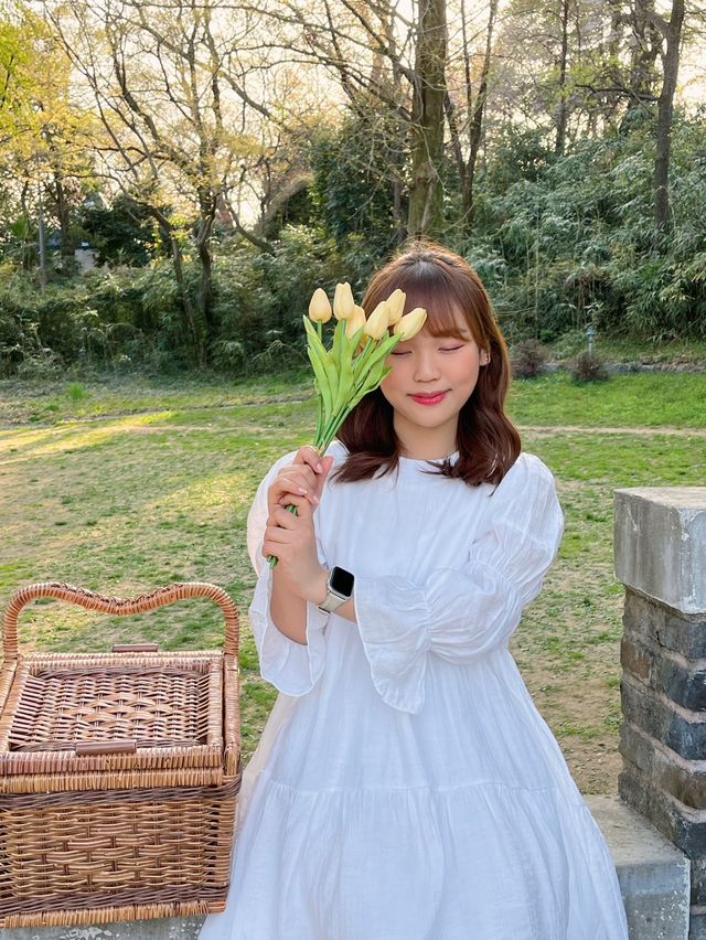 🤍 광주 유럽풍 피크닉 명소 🤍