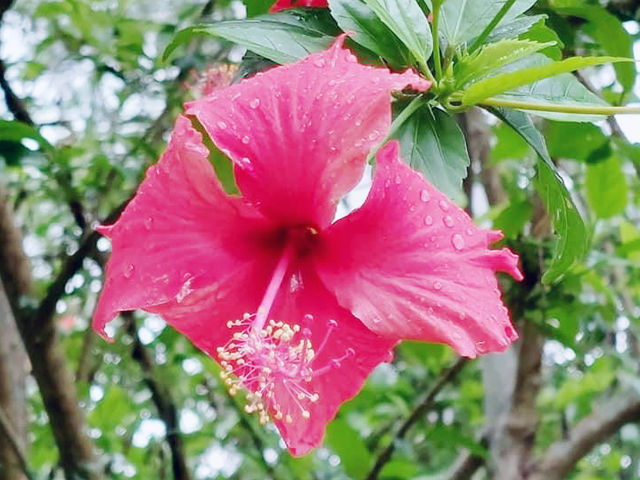 下花山
