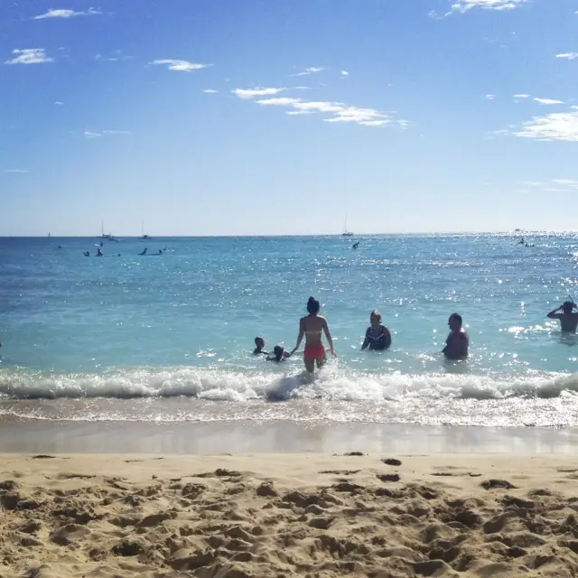 여름 시그니처 하와이 와이키키비치 🏝