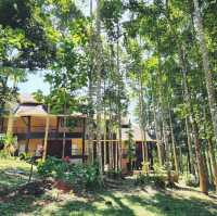 ที่พักวิวธรรมชาติ​