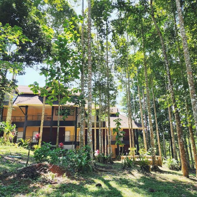 ที่พักวิวธรรมชาติ​