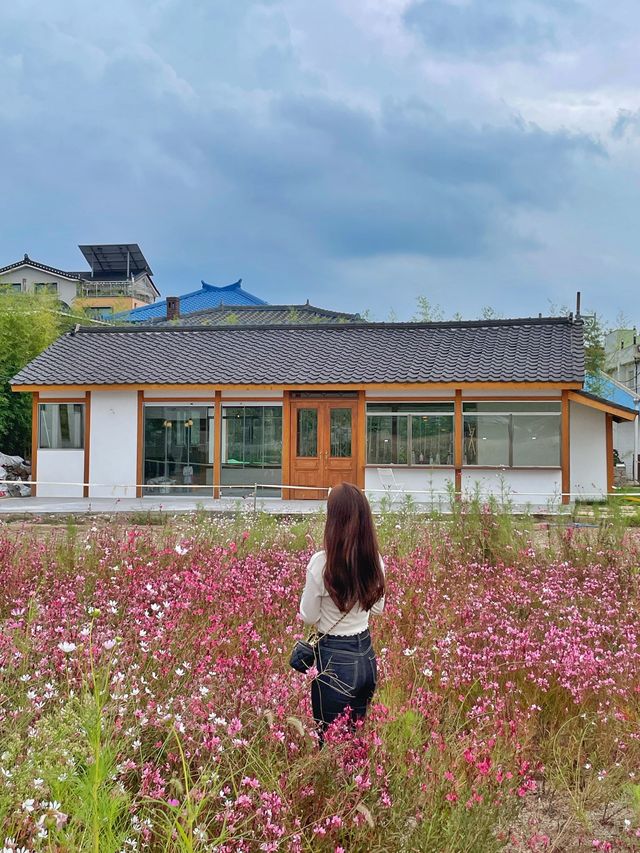 행궁동 속 작은 코스모스 밭 💐