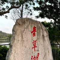 適合散步的青草湖，還可接到有溜滑梯的公園喔！