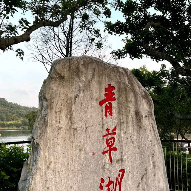適合散步的青草湖，還可接到有溜滑梯的公園喔！