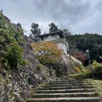 【兵庫県】秋の出石城跡を散策！