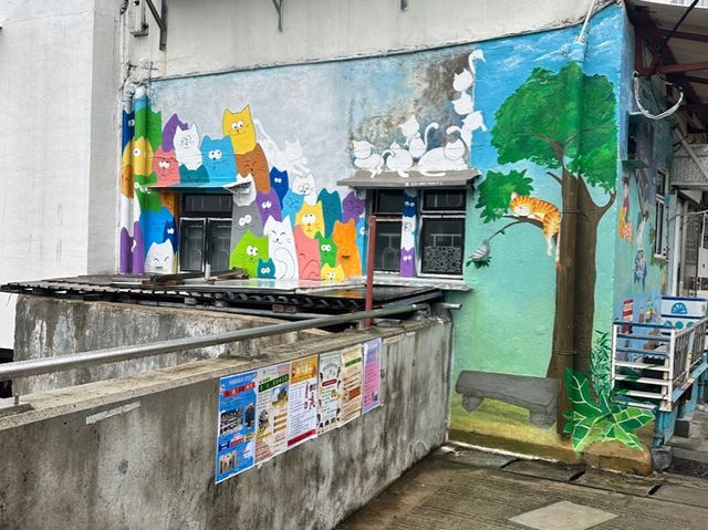 鯉魚門一日遊 海鮮🦞茶粿🍵壁畫村🖼️芒草🪨石礦場