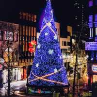 울산 크리스마스트리 명소 