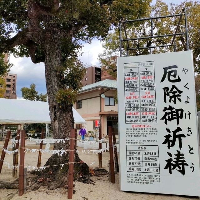 【大阪 難波】日本最古の神社！生國魂神社✨