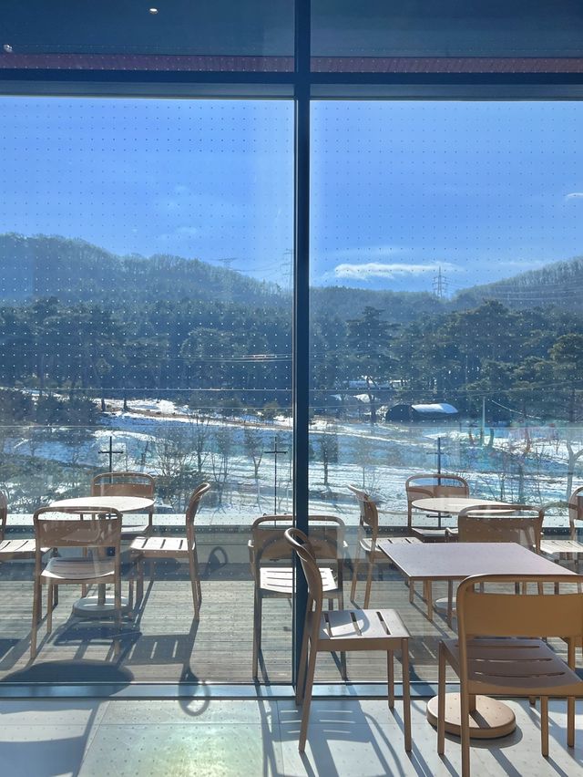 백운호수 카페_🤍호야스🤍