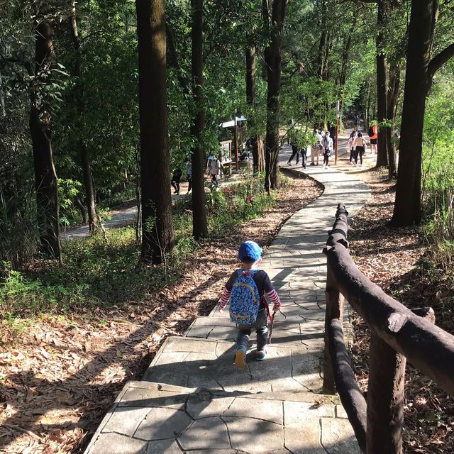 親子假期行山之旅😊🌈青衣自然教育徑