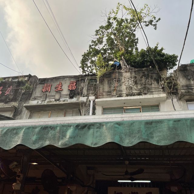 油麻地鮮果零食市場｜油麻地果欄