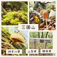 【山梨県、静岡県、神奈川県】三国山