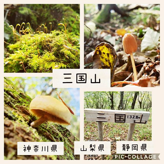 【山梨県、静岡県、神奈川県】三国山