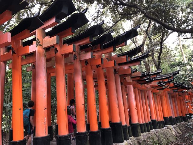 Fushimi Inari Taisha, Kyoto 