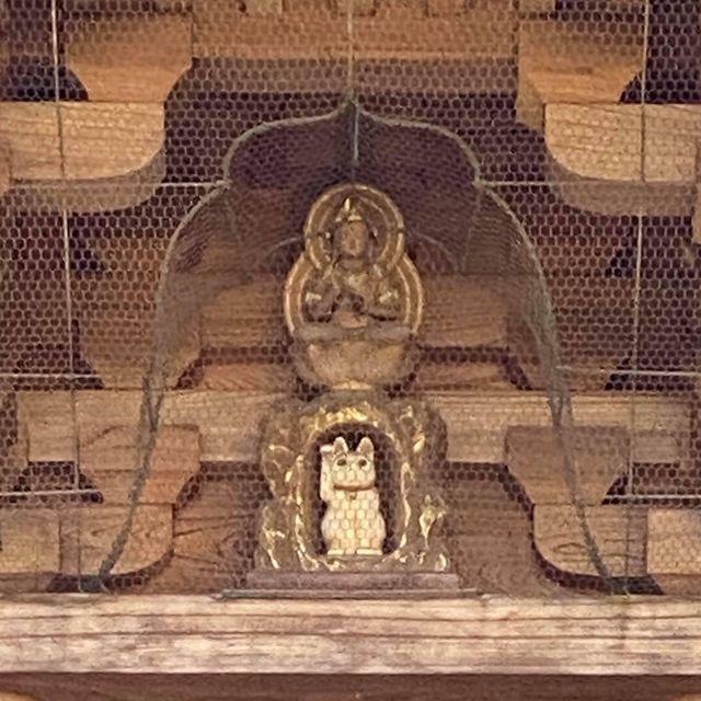 滿滿招財貓🐱日本必去豪徳寺