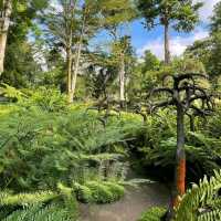 Evolution Garden