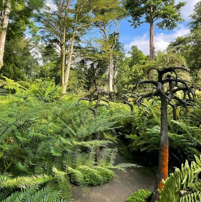 Evolution Garden