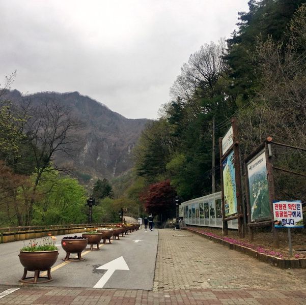 삼척 가볼만한곳 환선굴