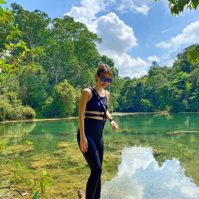 magnificent sights at Macritchie