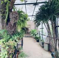 คาเฟ่บนภูเขา