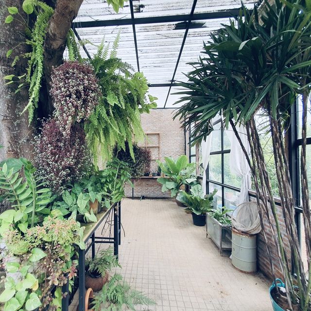 คาเฟ่บนภูเขา