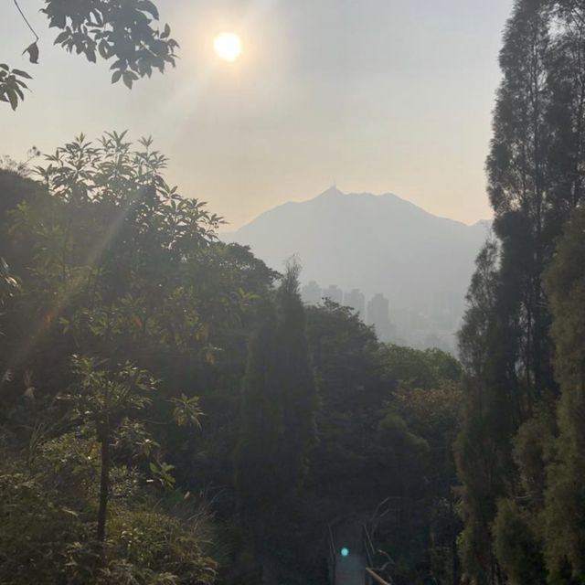 懶人新手行山路線2💪🏻屯門徑