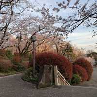 飛鳥山公園