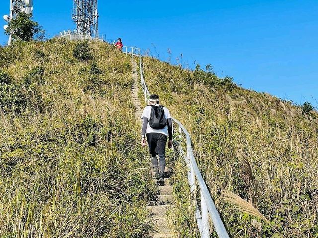 Suicide Peak in Kowloon 