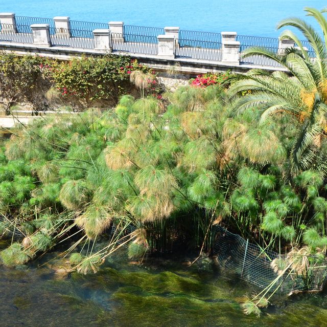  意大利 西西里島🏛古城Siracusa 