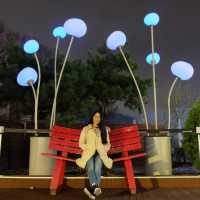 Seoul Tower ยามค่ำคืน บรรยากาศสุดโรแมนติก 