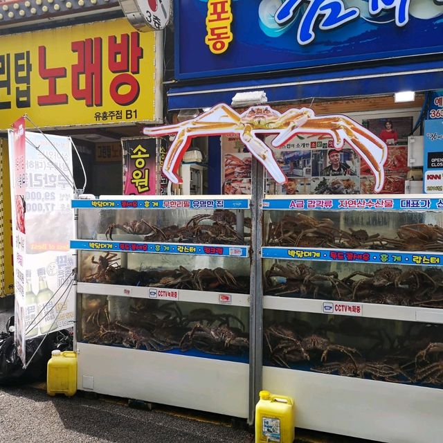 Busan Eomuk Bujeon Market Trip